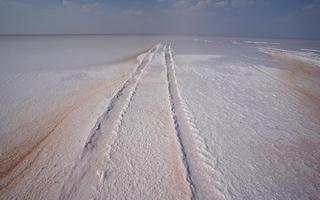 rann-of-kutch-gujarat