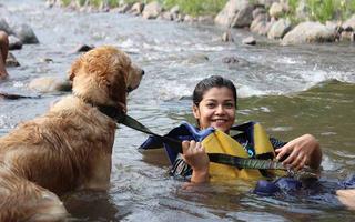 rishikesh-trip-with-dog