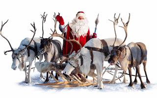santa-reindeers