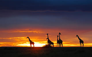 time-in-kenya-day-kenya