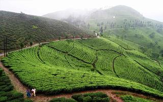 darjeelign-travel-guide
