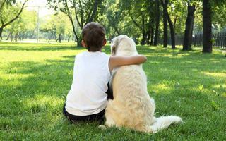 travelling-with-pets
