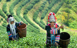 wayanad-weekend-getaway