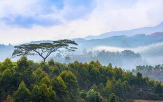 weekend-getaways-from-chennai-hills