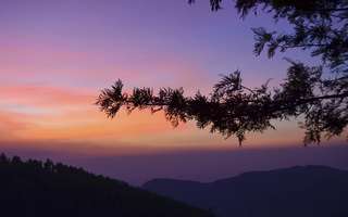 yercaud-things-to-do