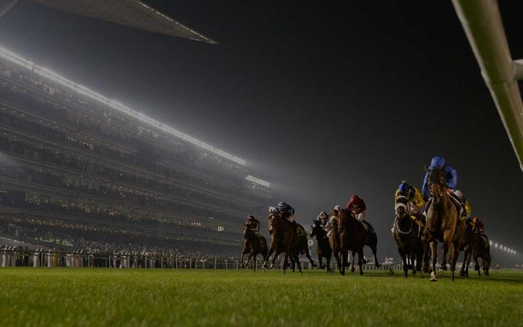 A Day at the Races – Dubai World Cup | MakeMyTrip Blog